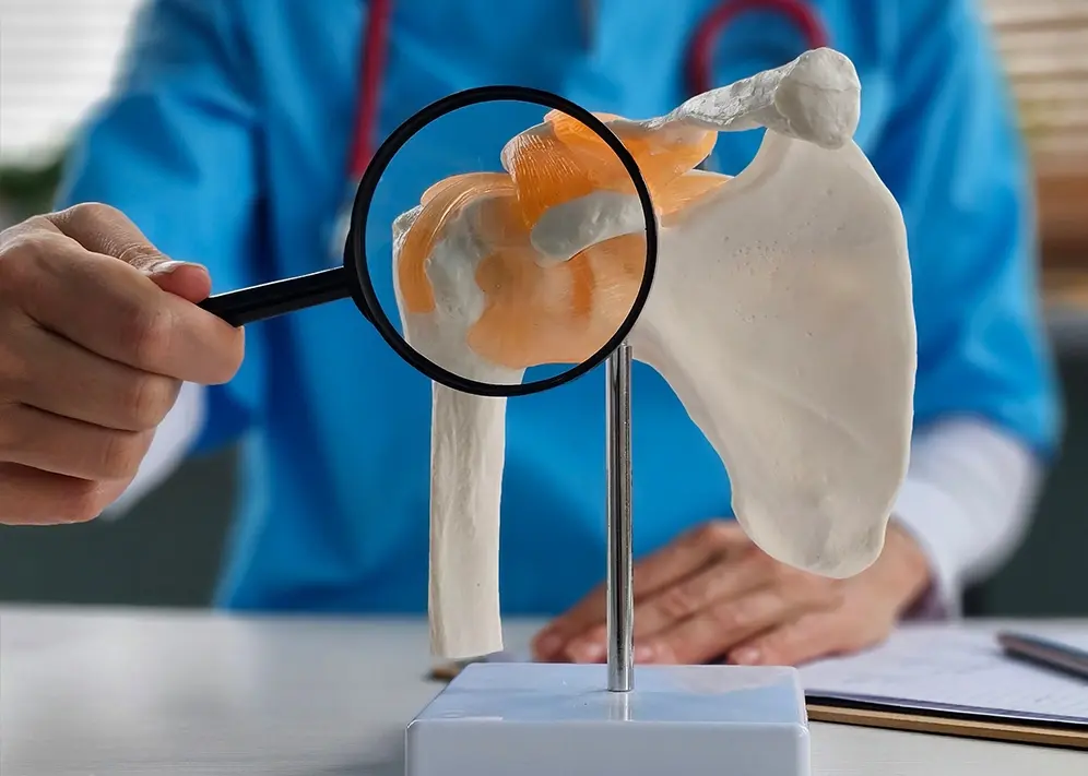 Shoulder, Elbow & Upper Limb